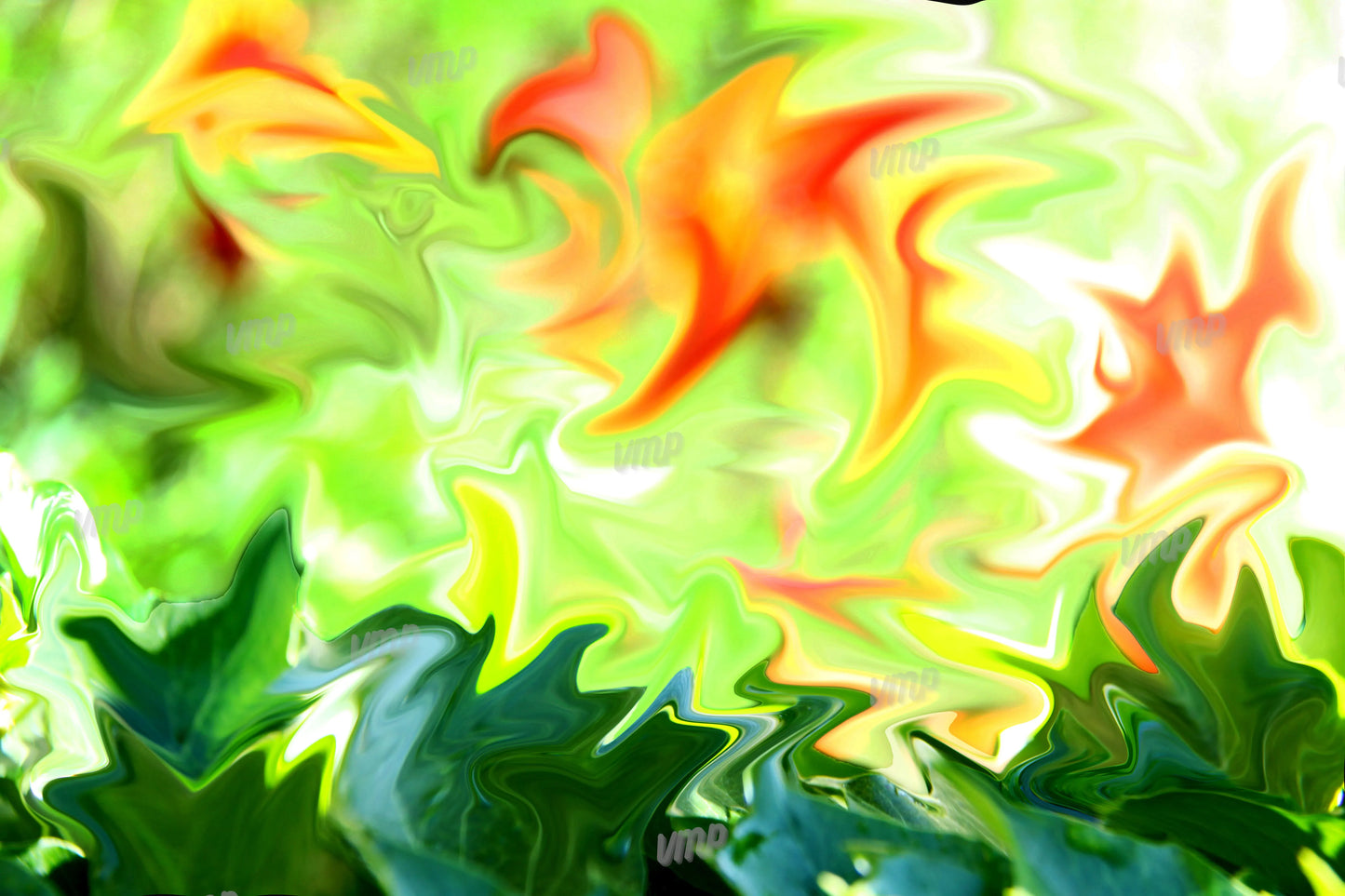 Entre vert et orange