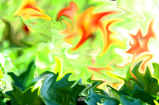 Entre vert et orange
