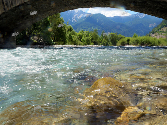 Drac blanc - Champoléon