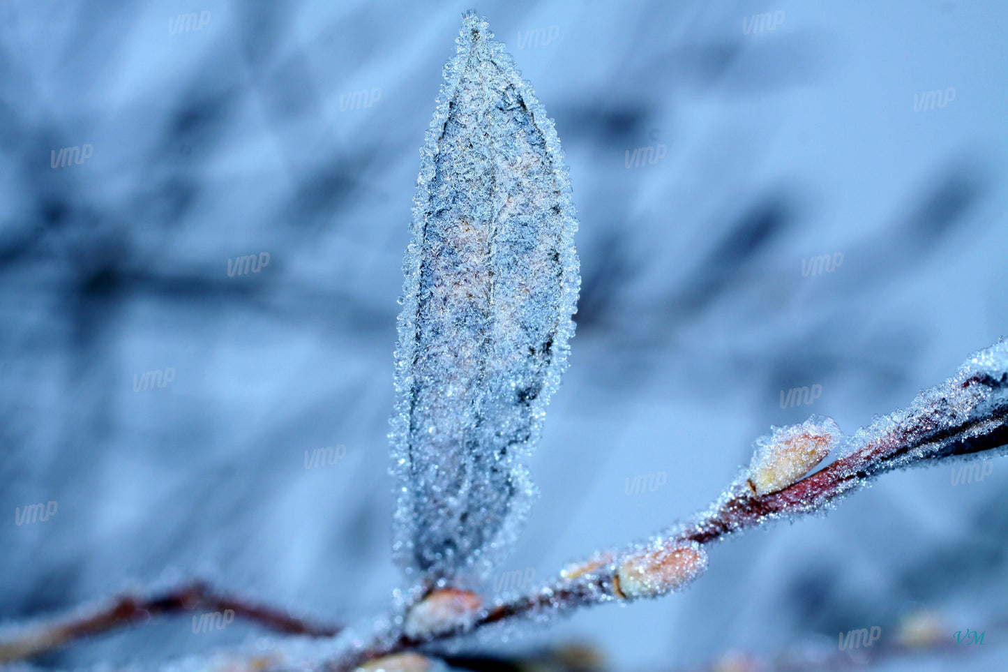 Habillée pour l'hiver