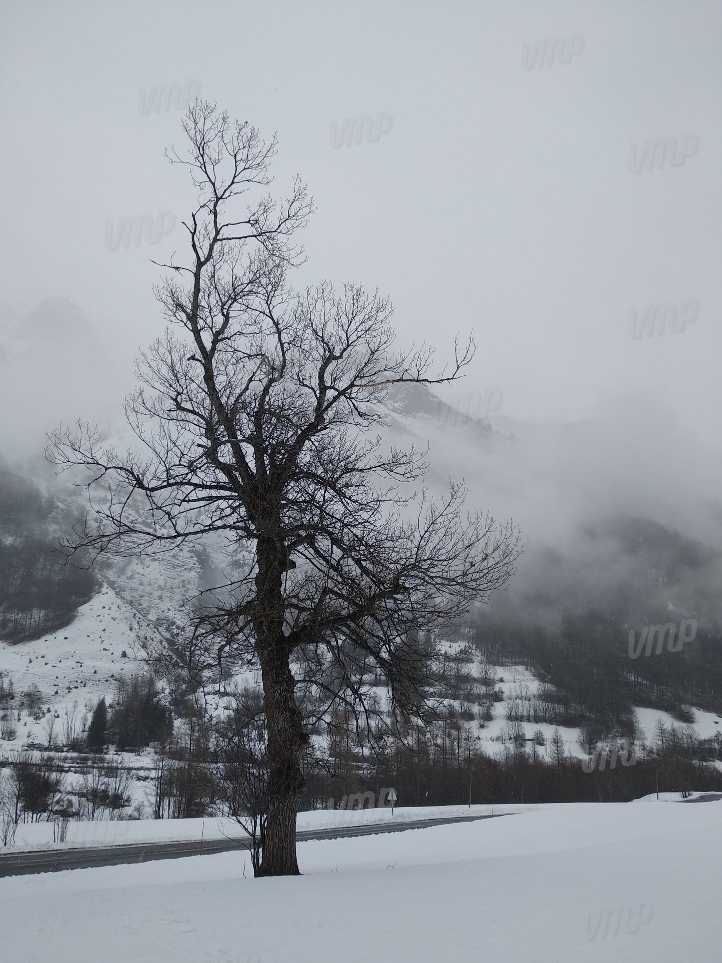 Isolé dans le froid
