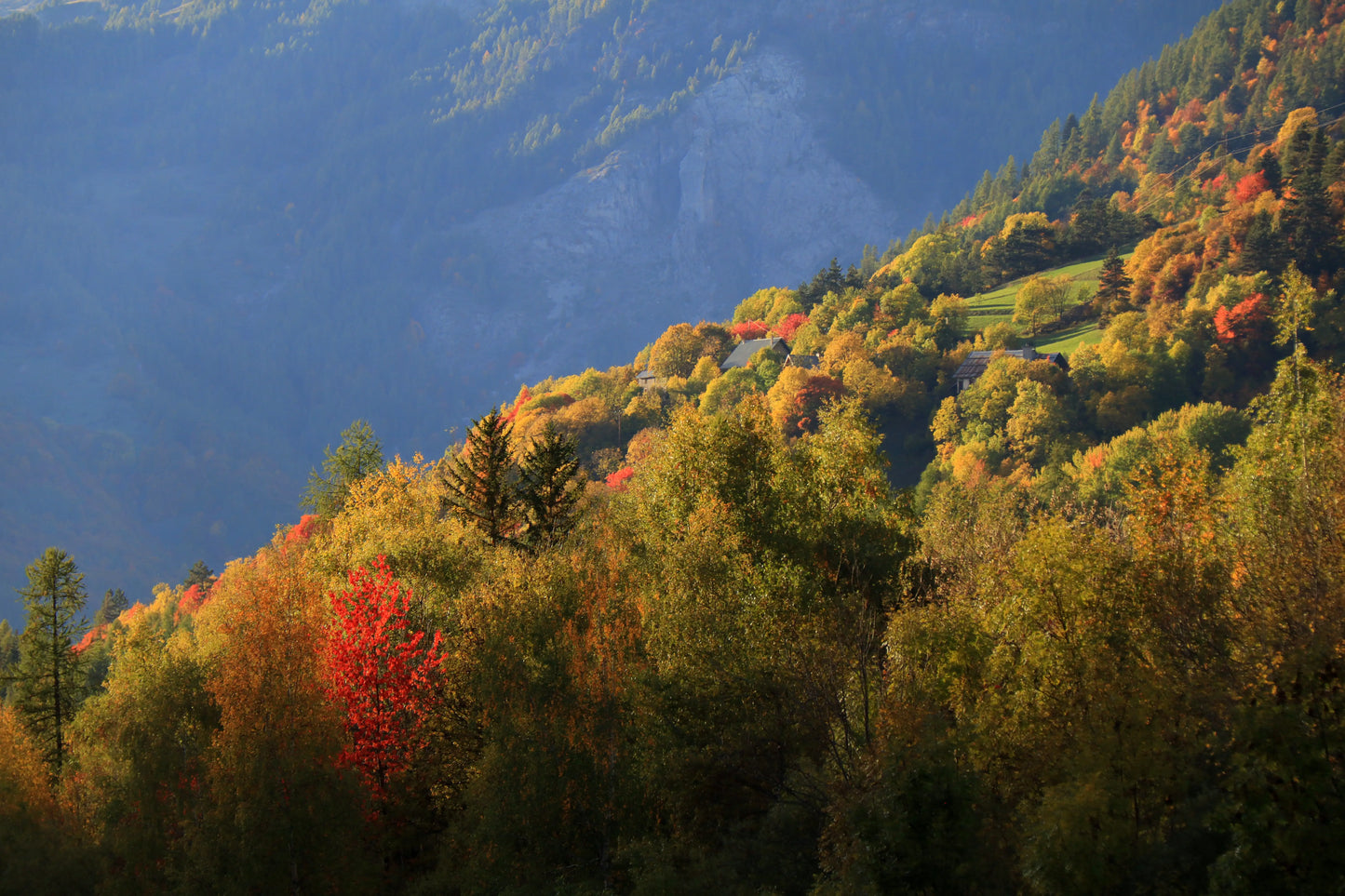 Ligne d'automne
