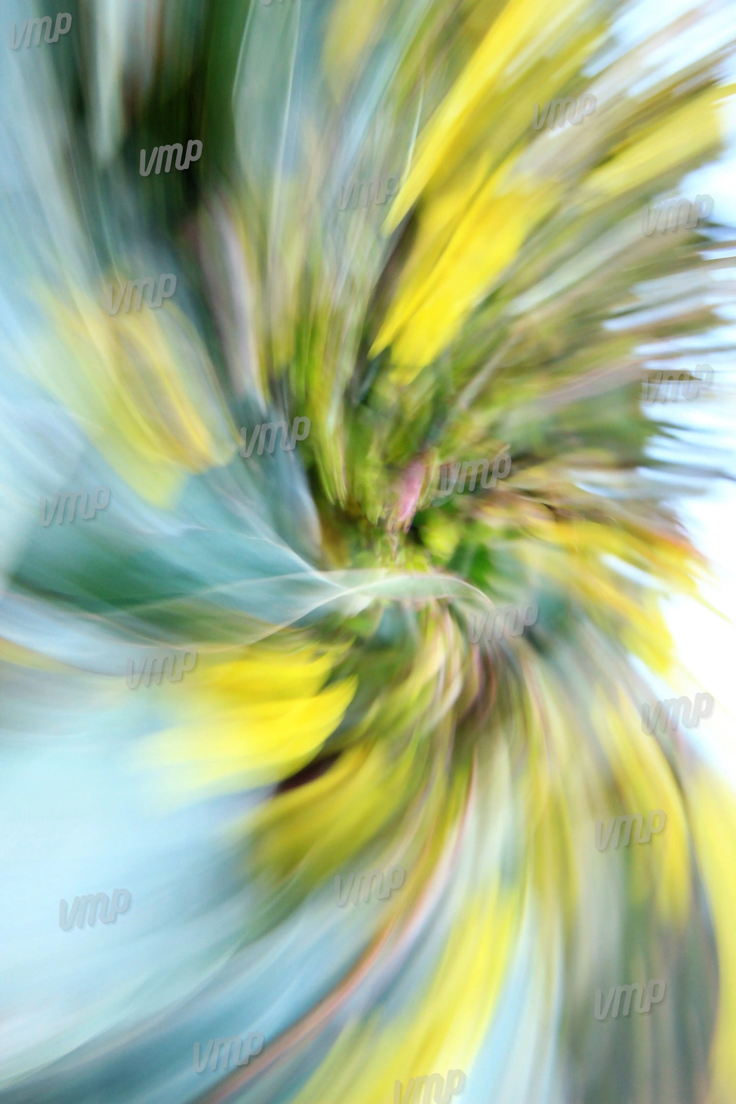 Tourbillon coloré – photographie d’art abstraite en mouvement, texture végétale stylisée en jaune et vert, réalisée par Martine Viton"