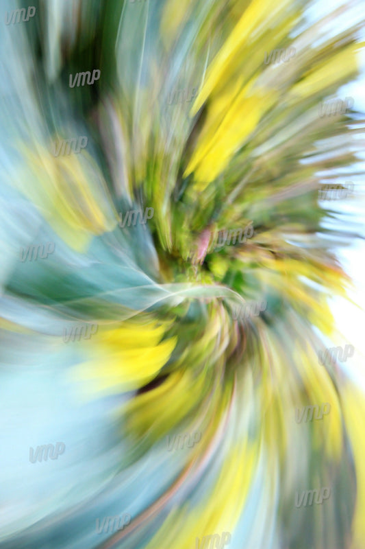 Tourbillon coloré – photographie d’art abstraite en mouvement, texture végétale stylisée en jaune et vert, réalisée par Martine Viton"
